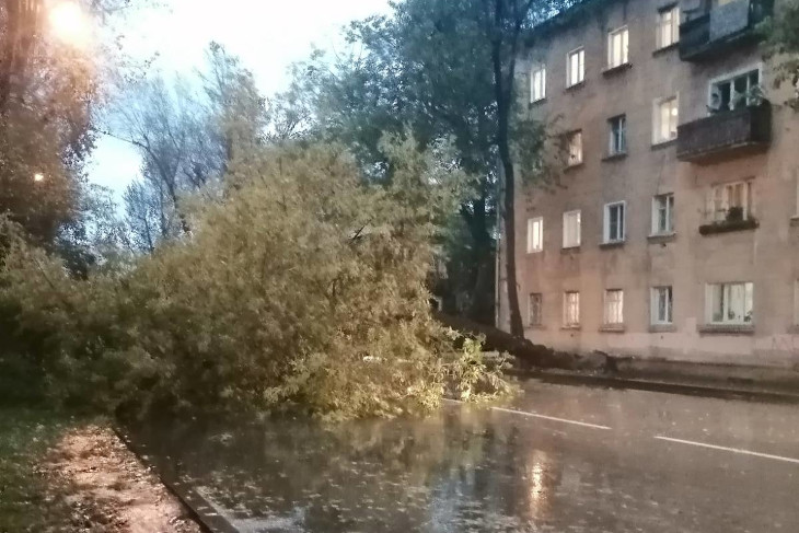 В Иркутске устраняют последствия затяжного дождя