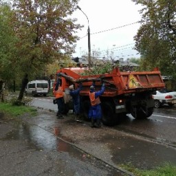 За прошедшие сутки в Иркутске выпало более 20 мм осадков
