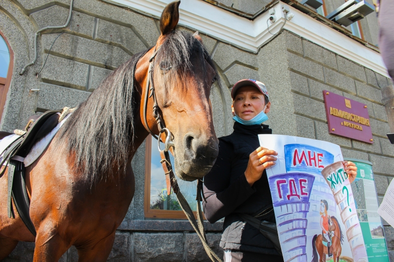 Пикет с лошадью против строительства домов рядом с ипподромом прошел в Иркутске