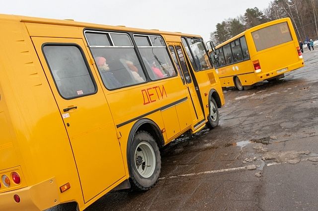 Школьный автобус могут запустить для жителей СНТ «Черемушки» в Иркутске