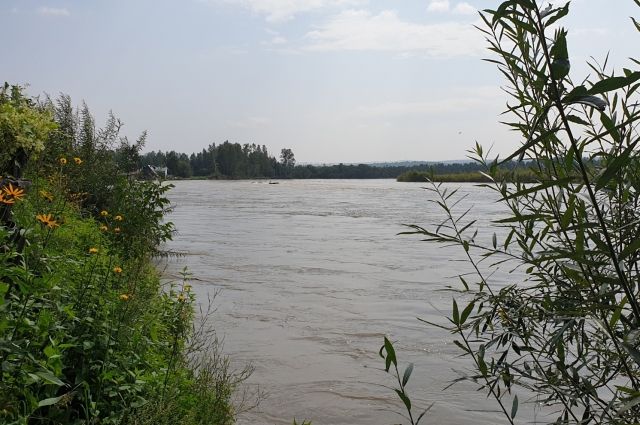 Русло реки Ушаковка очистят в Иркутске в ближайшие сутки