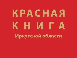В новое издание Красной книги Иркутской области включены 427 исчезающих видов