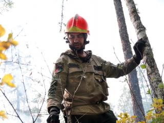 Все лесные пожары в Катангском районе Иркутской области ликвидированы