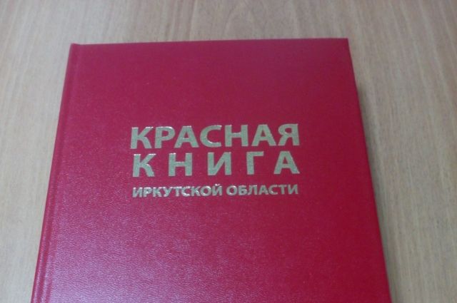 Красную книгу Иркутской области пополнили новые виды флоры и фауны