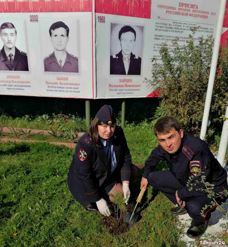 В Тайшете у мемориала погибшим сотрудникам полиции высадили кедры