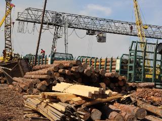 Иркутская таможня пресекла незаконный экспорт леса в Китай