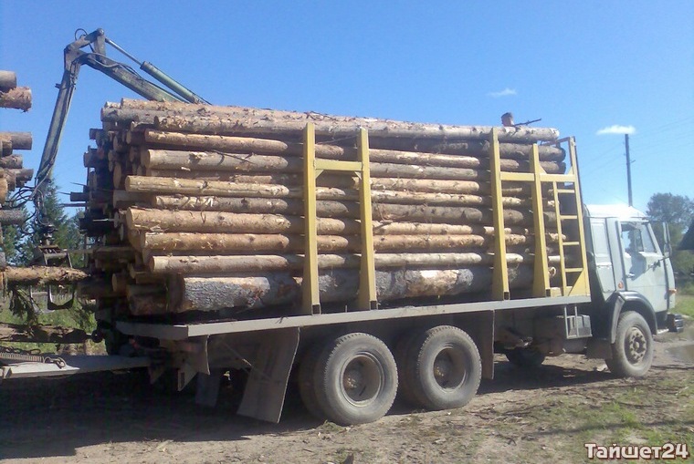 Полицейские в Тайшетском районе остановили грузовик с ворованным лесом, возбуждено уголовное дело