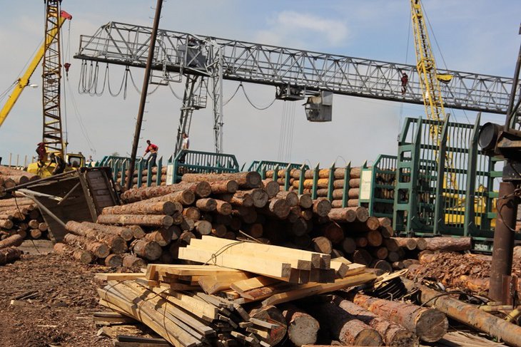 Контрабанду древесины на 16 миллионов рублей пресекли в Чунском районе
