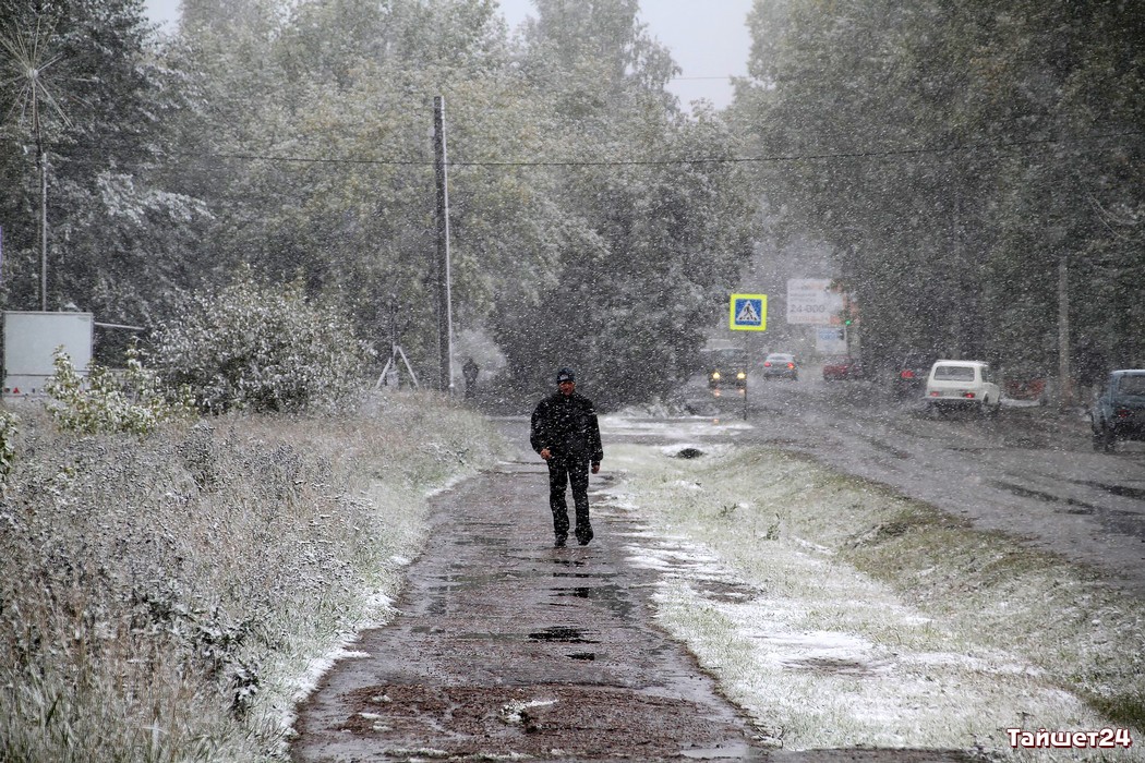 Мокрый снег, дождь и сильный ветер обещают в Иркутской области в ближайшие сутки