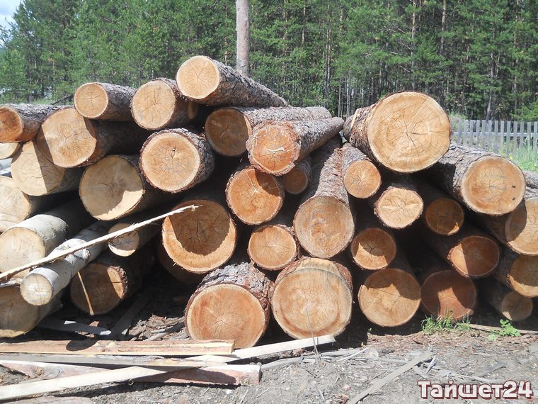 Лес на 16 миллионов рублей пытались вывезти контрабандой из Чунского района