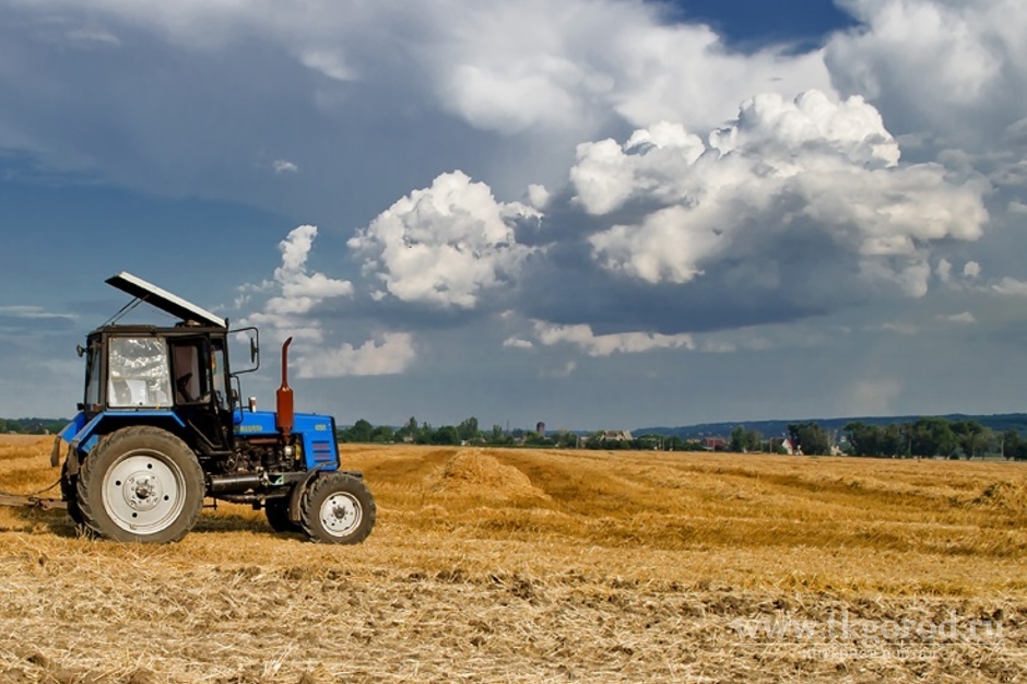 Трактор поле картинки. Трактор МТЗ 82 В поле. Трактор Беларус в поле. Пшеничное поле с трактором. Тракторист в поле.