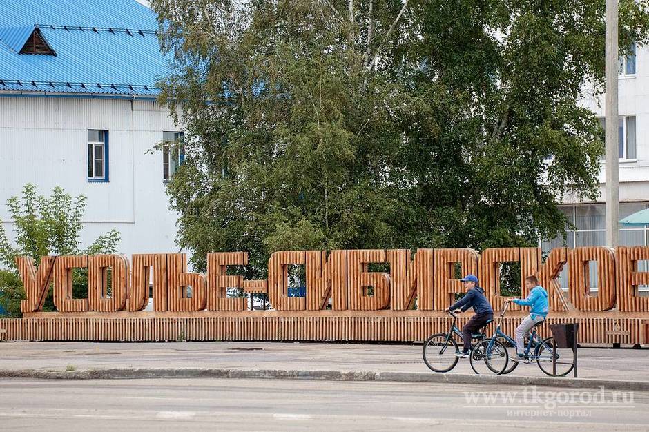 В Усолье-Сибирском введён режим чрезвычайной ситуации регионального характера