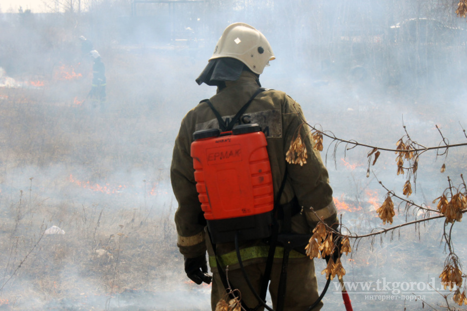 В Иркутской области началась подготовка к предстоящему пожароопасному периоду 2021 года
