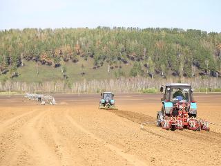 Лучших работников агропромышленного комплекса наградят в Иркутской области