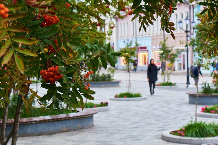 До -20 градусов ожидается во второй половине октября в Иркутской области