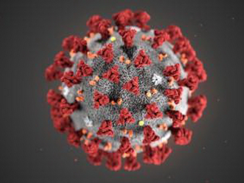 За сутки в Иркутской области выявили 116 новых случаев коронавируса <meta itemprop=url content=https://irksib.ru/allnews/12-social/20959-za-sutki-v-irkutskoj-oblasti-vyyavili-116-novykh-sluchaev-koronavirusa />