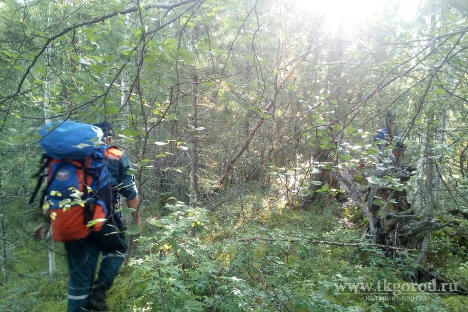 В Киренском районе спасателями был найден пропавший в лесу грибник