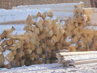 Из Приангарья пытались вывезти древесину на сумму более 9,8 млн рублей