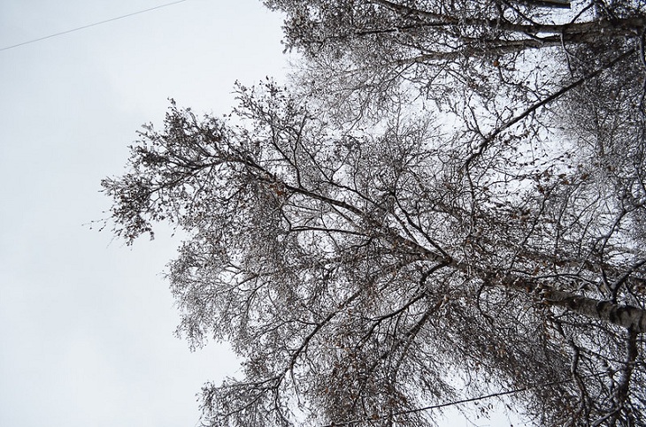 Сильный ветер и снег ожидаются в Иркутской области в ближайшие сутки