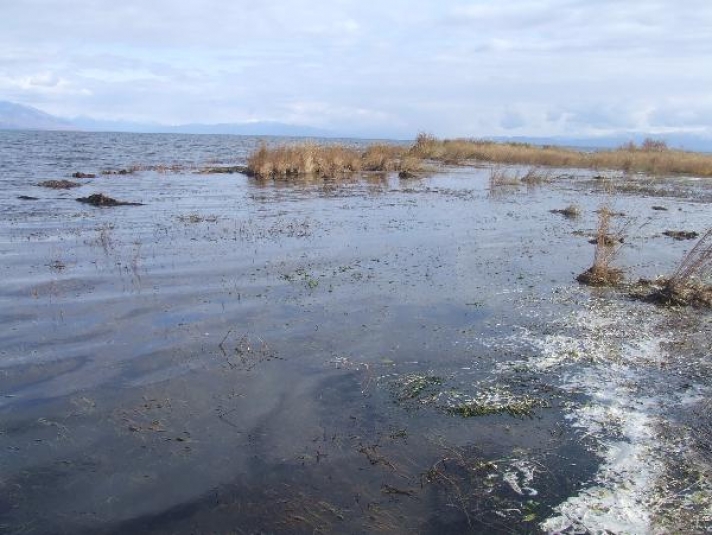 Остров частично затопило из-за повышения уровня Байкала