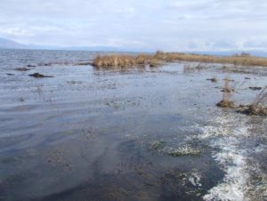 Остров Ярки частично подтопило в Бурятии из-за повышения уровня воды в Байкале