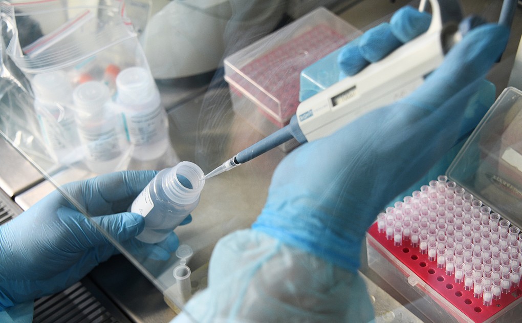 Лаборатории в Иркутской области не справляются с объёмами тестов на коронавирус