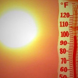 Аномальная жара набирает обороты в Сибири