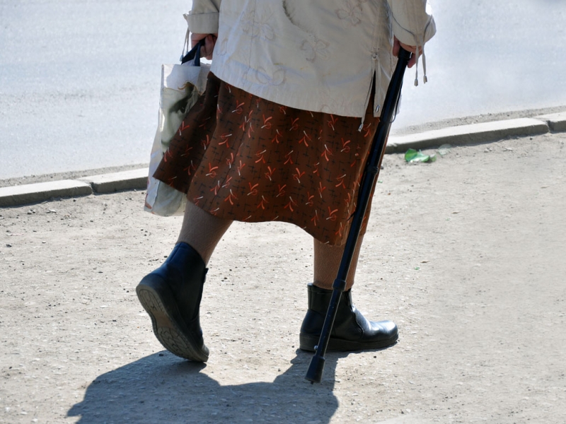 Пенсионерка ушла за черемшой и пропала без вести в Иркутске