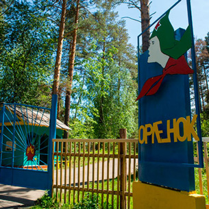 Детский лагерь «Орленок» под Шелеховом закрыт из-за вспышки энтеровирусной инфекции