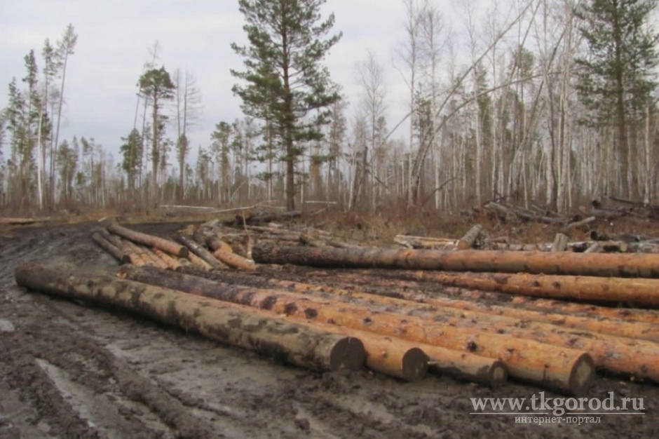В Черемховском районе полиция задержала семь человек, вырубивших лес на 600 тысяч рублей