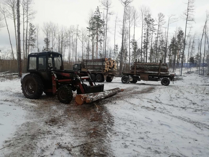 31 незаконную рубку выявили в Иркутской области при проведении операции "Колея"