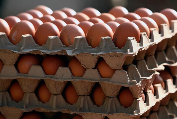 Иркутский кондитер перевел мошенникам 400 тысяч рублей за несуществующие яйца