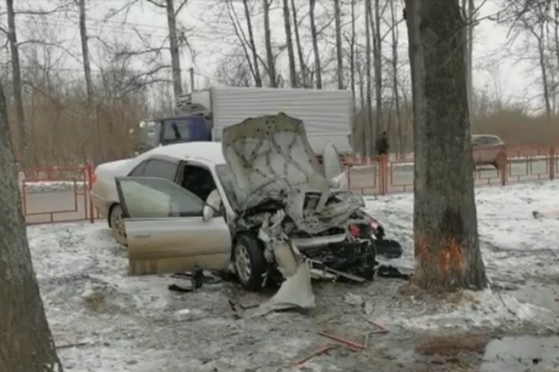 Водитель и пассажир "Тойоты" погибли после столкновения с деревом в Шелеховском районе