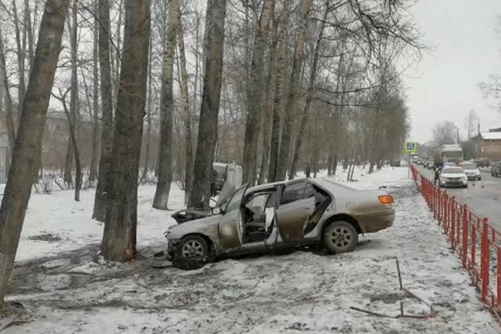 Два человека погибли, врезавшись на иномарке в дерево в Шелеховском районе
