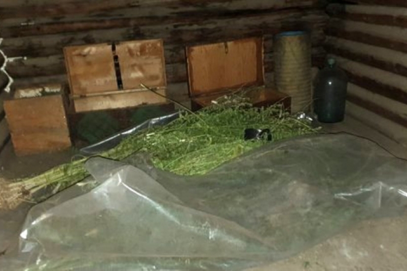 Житель Усть-Кутского района хранил более 17-ти кг наркотиков в амбаре для скота
