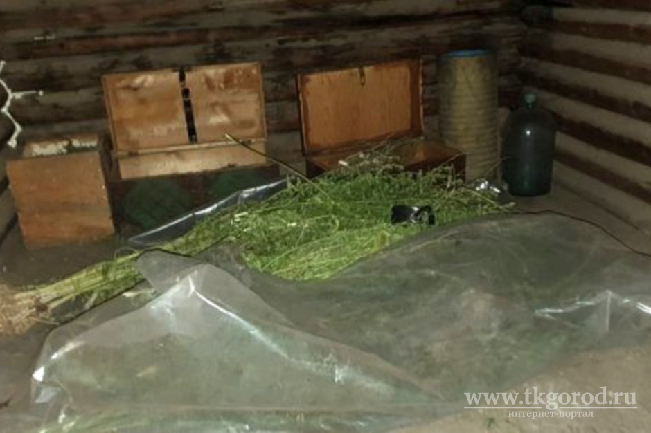 Житель Усть-Кутского района хранил более 17-ти кг наркотиков в в своём амбаре для скота