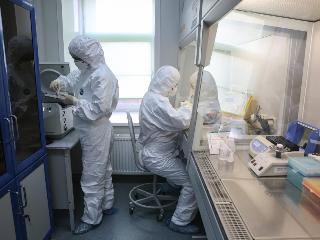 За сутки 277 новых заражённых коронавирусом в Иркутской области