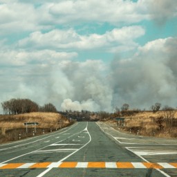 Затраты на ликвидацию ЧС из-за лесных пожаров намерены переложить на регионы России