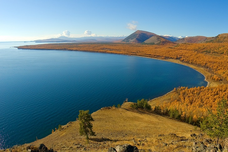 Жителей Иркутской области приглашают на бесплатный курс по экологии