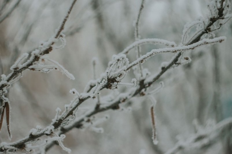 Облачная погода и небольшой снег ждут жителей Иркутска в субботу, 16 января