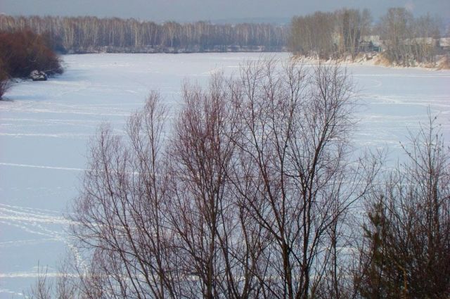 Минприроды Иркутской области через суд обязали расчистить русло реки Ия