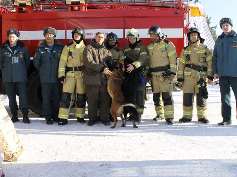 Пожарные навестили спасенных на пожаре собак из «К-9» <meta itemprop=url content=https://irksib.ru/allnews/12-social/22478-pozharnye-navestili-spasennykh-na-pozhare-sobak-iz-k-9 />