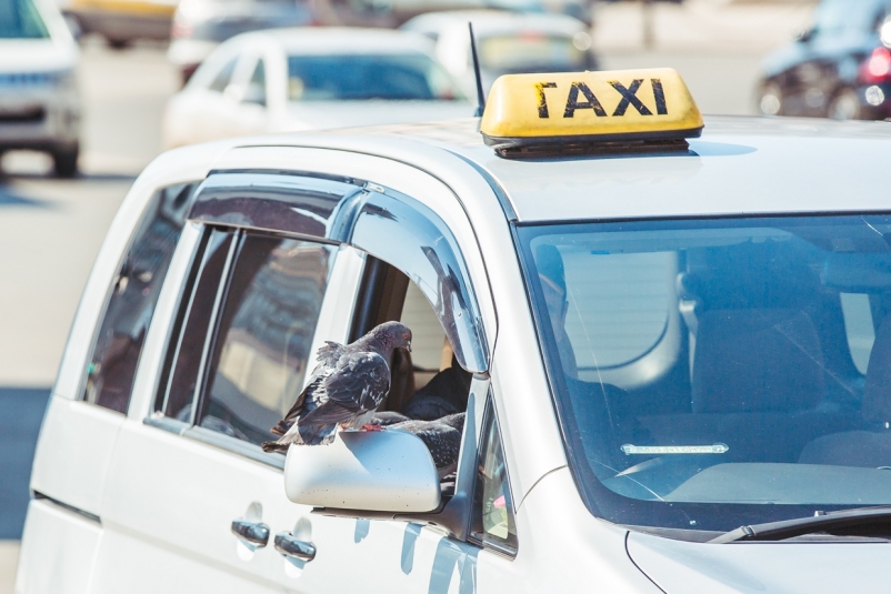 Поездки в такси станут дешевле