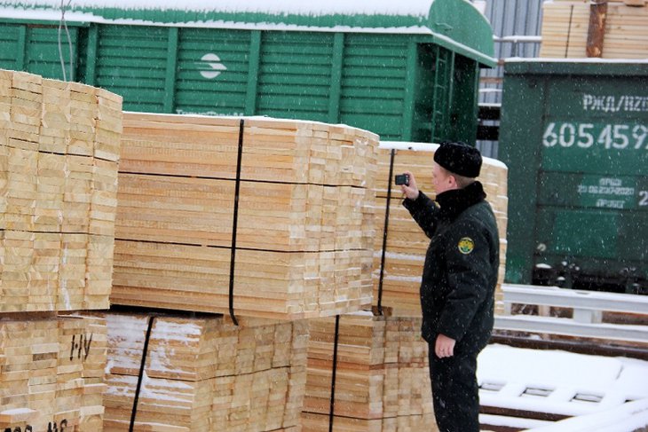 Древесину на миллиард рублей незаконно вывезли из Иркутской области в 2020 году