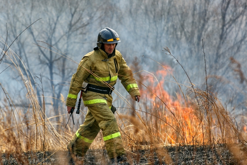 Глава Рослесхоза: Иркутская область занижала площади лесных пожаров