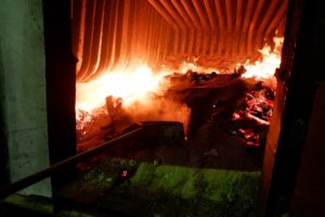 Почти 2,5 килограмма нелегальной красной икры сожгли в Иркутске
