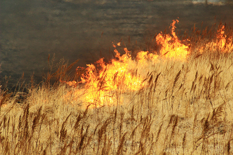 13 лесных пожаров потушили в Иркутской области за сутки