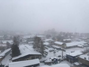 Метели прогнозируют в Иркутской области на субботу, 20 февраля