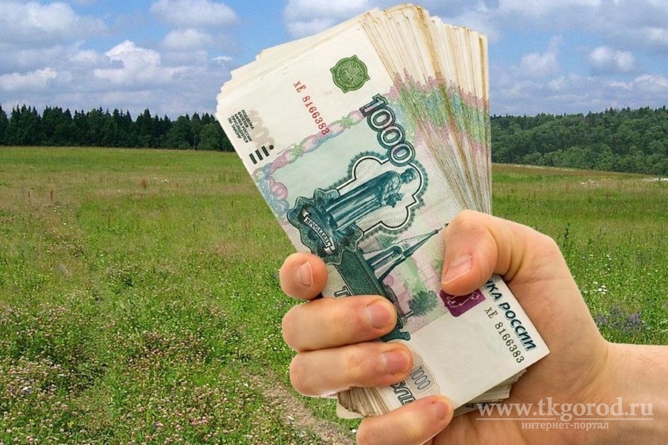 Многодетные семьи Иркутской области смогут получить социальную выплату взамен земельного участка