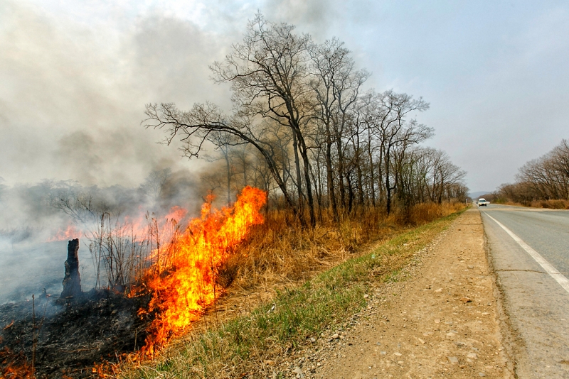 Два пожара в Иркутской области возникли из-за гроз